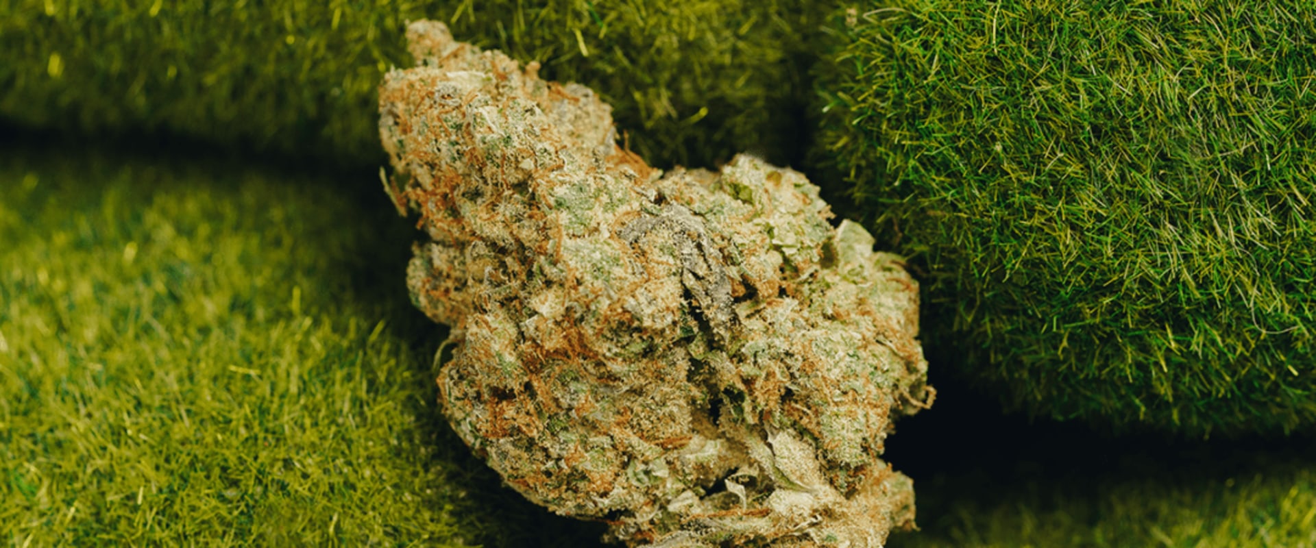 Is indica a brain high or body high?