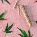 The Health Benefits Of Using Indica With Raw Cones