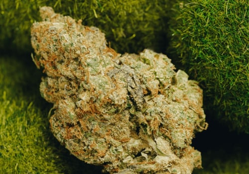 Is indica a brain high or body high?